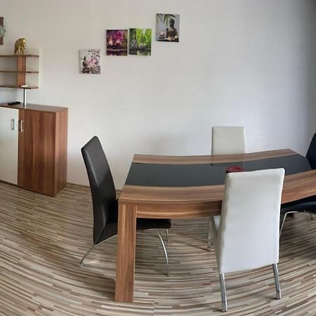 Grosse Und Helle Ferien Wohnung Mit Parkplatzen Laufenburg Kültér fotó